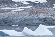 05_CuverilleIsland