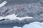 07_CuverilleIsland