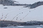09_CuverilleIsland