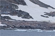 10_CuverilleIsland