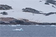 12_CuverilleIsland