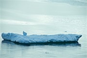 11_ParadiseHarbor