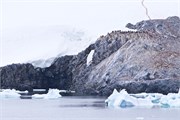 15_ParadiseHarbor