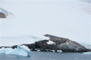 23_ParadiseHarbor