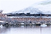 43_ParadiseHarbor