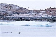 61_ParadiseHarbor