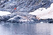 68_ParadiseHarbor