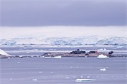 69_ParadiseHarbor