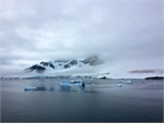 01_DallmanBay