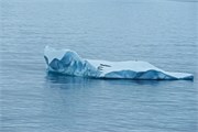 14_WaddellSeals