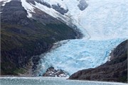11_Beagle_GlacierAlley