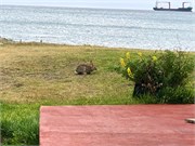23_PuntaArenasChile