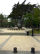 65_PuntaArenasChile