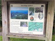 CherohalaSkyway-08