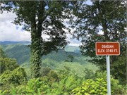 CherohalaSkyway-10
