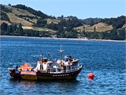 44_Castro-IslaChiloe