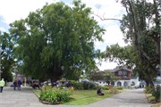 47_PuertoMott