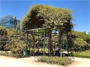09_SantiagoChile