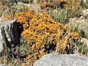 35_EmbalseElYeso