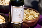 41_CanjonDelMaipo