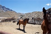 51_CanjonDelMaipo