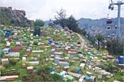 51_LaPaz