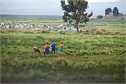 009_LakeTiticaca