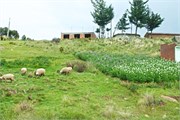 045_LakeTiticaca