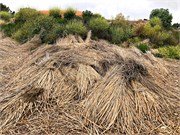 116_LakeTiticaca