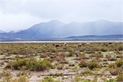 01_UyuniArea