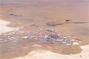 08_SaltFlatsUyuniBolivia