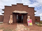 11_PumaPunka