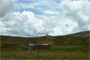 16_PumaPunka