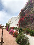 087_MuseoLarco