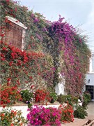 101_MuseoLarco
