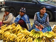 029_03_LaPaz