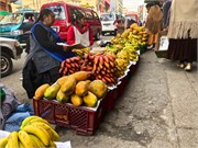 030_04_LaPaz