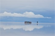 079_44_SaltFlatsUyuniBolivia