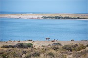 013_14-Patagonia2018