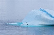 077_07_ParadiseHarbor