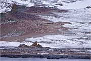 171_37_AdmiraltyBay
