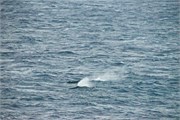 176_09_HopeBay