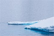 182_03_GerlacheStraight