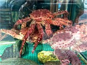 194_18_Ushuaia