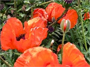 195_23_Ushuaia