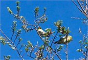 202_26_PuertoChacabuco-Coyhaique