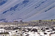219_31_EmbalseElYeso