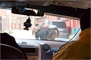 226_046_LakeTiticaca