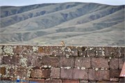 228_33_Tihanaku