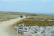 031_63_Bluff-Cove05